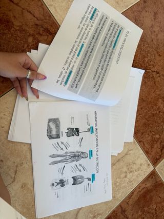 Apuntes de anatomia aplicada 1 bachillerato