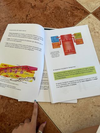 Apuntes de anatomia aplicada 1 bachillerato