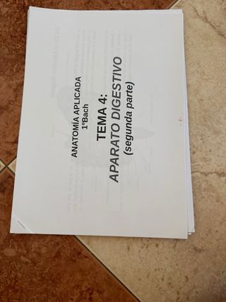 Apuntes de anatomia aplicada 1 bachillerato