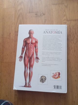 Gran Atlas de Anatomía (Salud Corporal) (Spanis...
