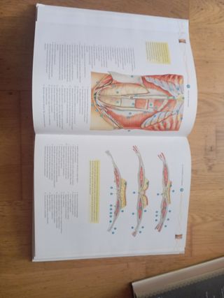 Gran Atlas de Anatomía (Salud Corporal) (Spanis...