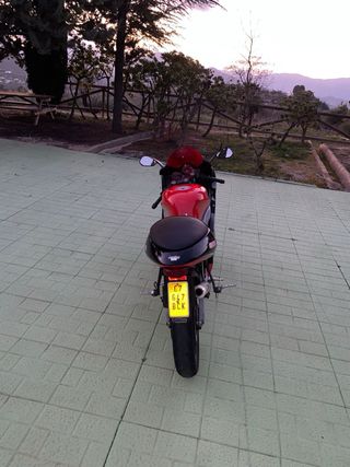 Aprilia RS 50 (1999) - Moto