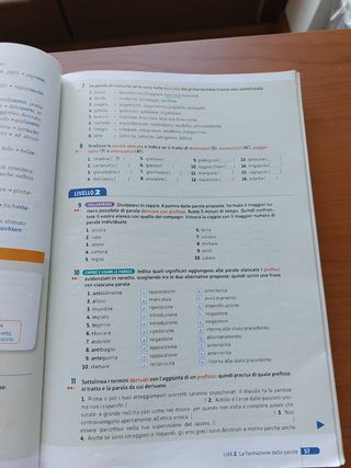 Le parole sono idee. Grammatica, lessico - scuola