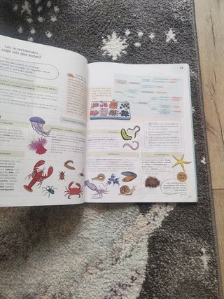 Ciencias de la Naturaleza 3.