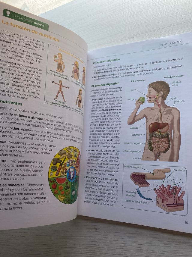 Lo esencial de Ciencias de la Naturaleza