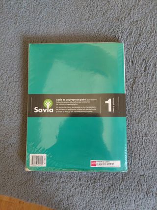 Física y química. 1 Bachillerato. Savia