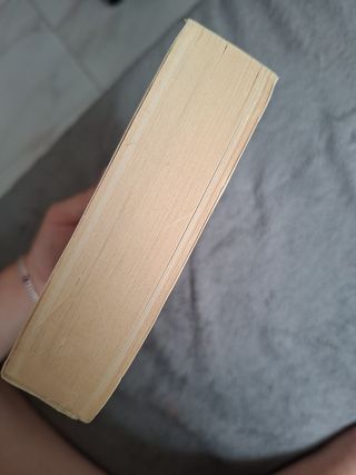 El retrato de Rose Madder (Spanish Edition)