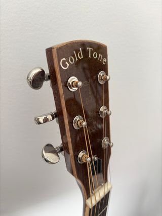 Gold Tone Paul Beard GRE Guitarra