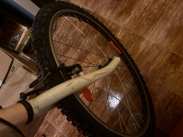 Bicicleta montaña y ciudad