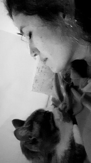 Paseo y cuidado de mascotas