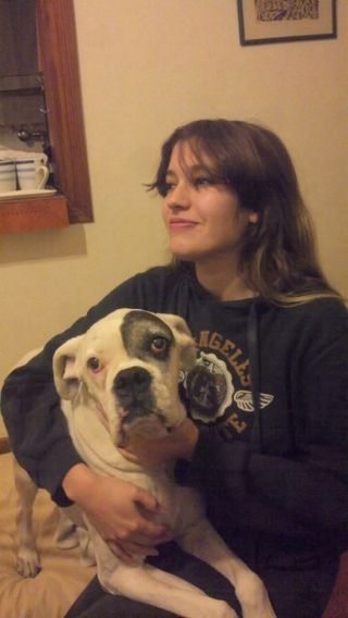 Paseo y cuidado de mascotas