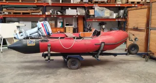 Evinrude 35cv fueraborda + remolque