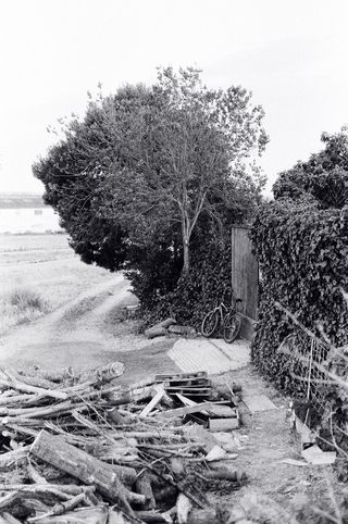 Zorki 1 - Cámara analógica vintage