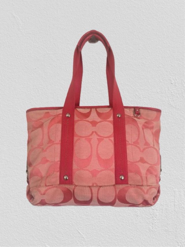 Allenatore Kyra Daisy Firma borsa vintage y2k