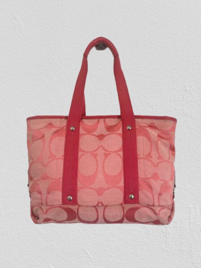Allenatore Kyra Daisy Firma borsa vintage y2k
