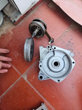Despiece motor Minimoto Polini.