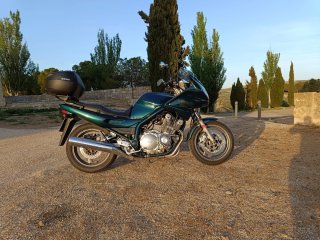 Yamaha XJ900S - Impecable