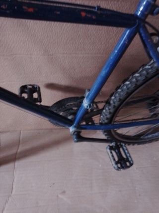 Bicicleta montaña clásica