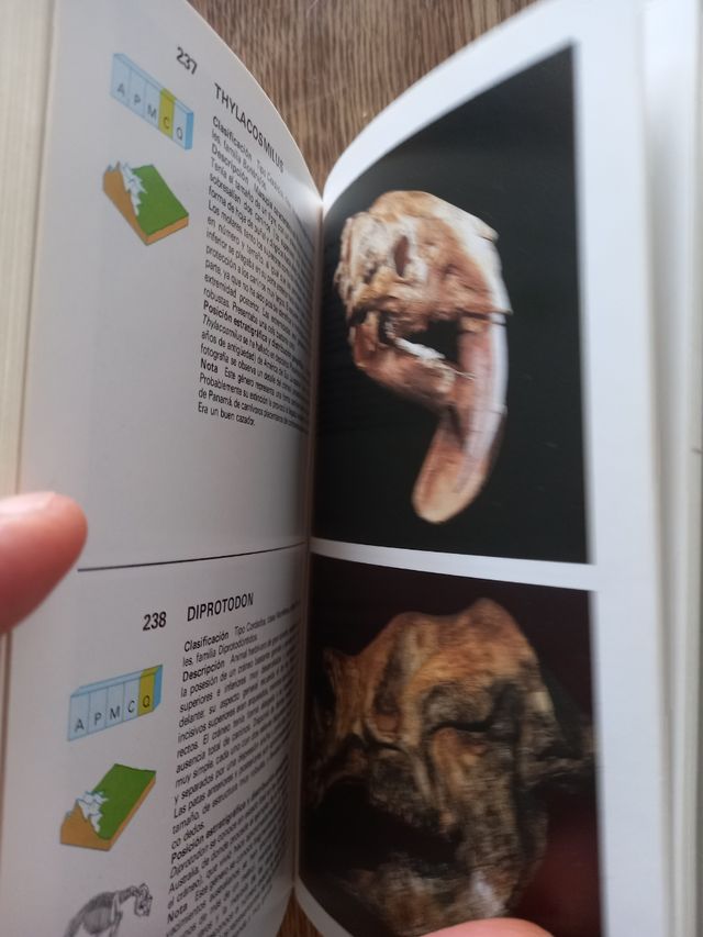 Guía de fósiles