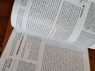 Dulce Ridentem 2 Dulce ridentem latino 2 Garbarino