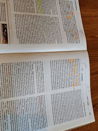 Dulce Ridentem 2 Dulce ridentem latino 2 Garbarino