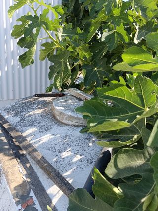 Cisterna de Agua - Remolque