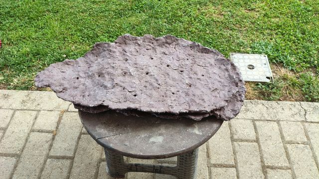 Lastra/vaso boschetti bonsai