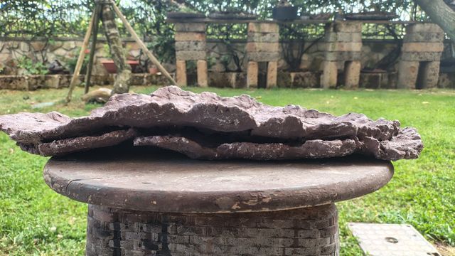 Lastra/vaso boschetti bonsai