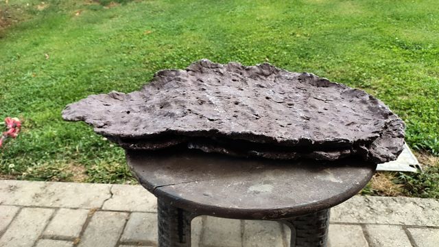 Lastra/vaso boschetti bonsai