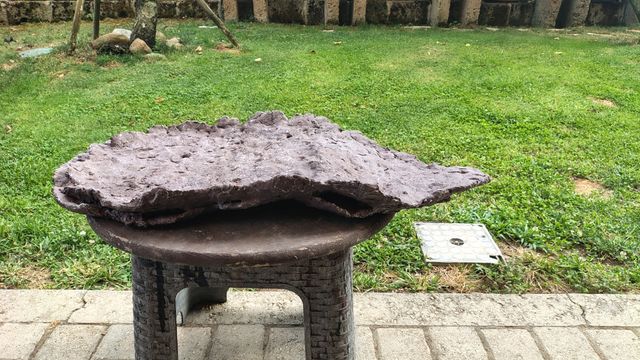 Lastra/vaso boschetti bonsai