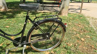 Bicicleta clásica Bottechia