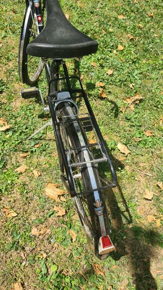 Bicicleta clásica Bottechia