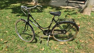 Bicicleta clásica Bottechia