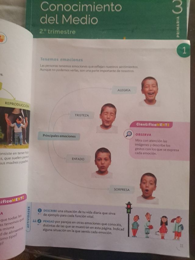 CONOCIMIENTO DEL MEDIO MOCHILA LIGERA 3 PRIMARI...