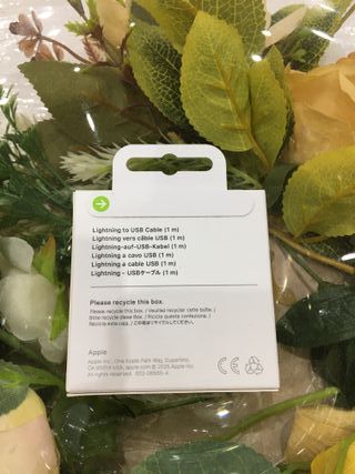 Cavetto Lightning Apple USB (1m)
