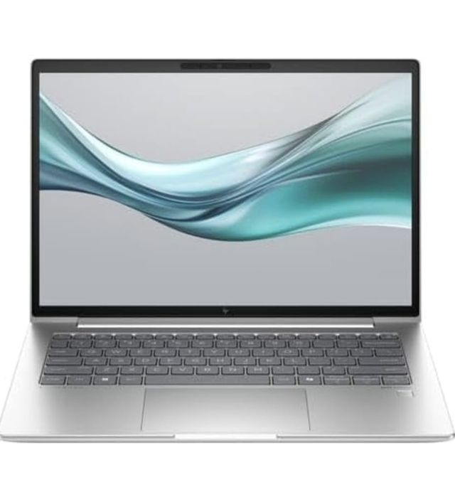HP Elitebook 645 G11 - Gris Plata