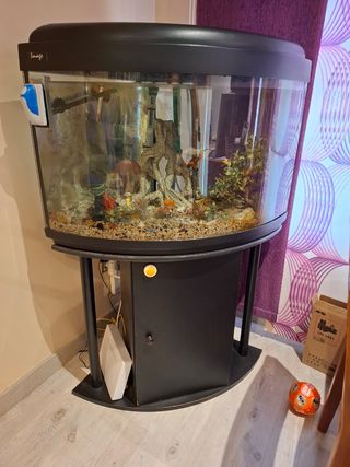 Pecera de esquina 200L
