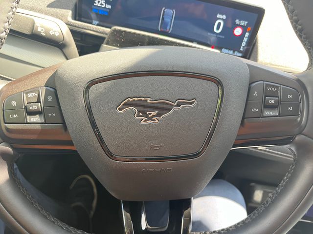 Ford Mustang Mach-E 2022