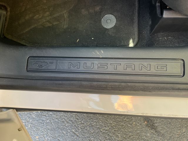 Ford Mustang Mach-E 2022