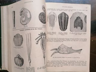 GEOLOGIA Y BOTANICA + FISIOLOGIA HUMANA.+ ZOOLOGIA
