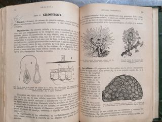 GEOLOGIA Y BOTANICA + FISIOLOGIA HUMANA.+ ZOOLOGIA