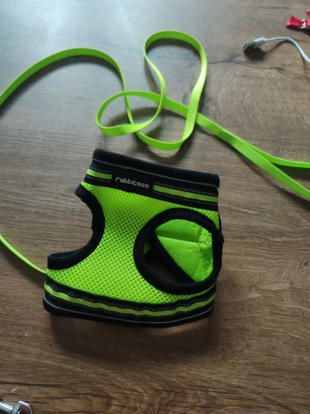 Arnés Gato Pequeño rabbitgoo - Verde