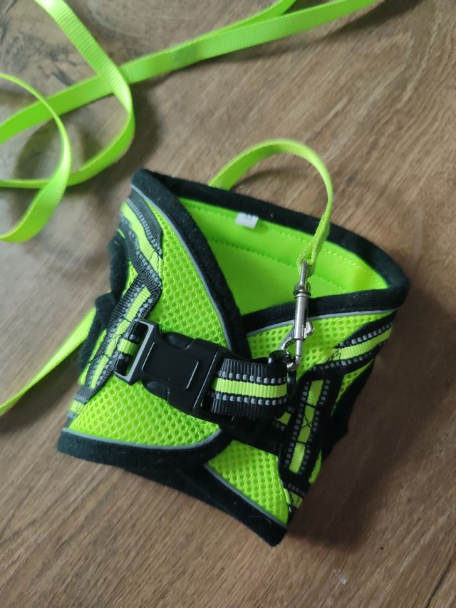 Arnés Gato Pequeño rabbitgoo - Verde