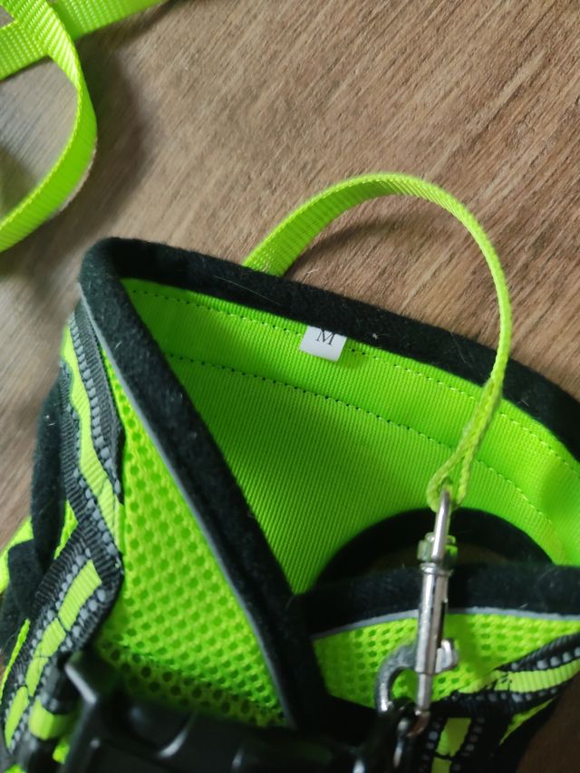 Arnés Gato Pequeño rabbitgoo - Verde