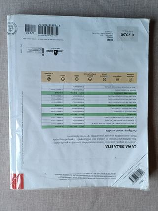 La via della seta. Paesaggi, luoghi e problemi ...