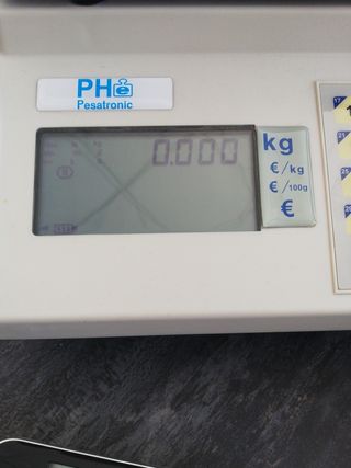 Balanza Epelsa T5810 - 15kg