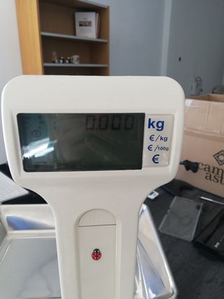 Balanza Epelsa T5810 - 15kg