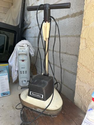 Pulidora Electrolux: suelos