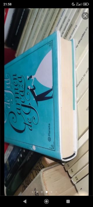 Vestida de tul ((Fuera de colección)) (Spanish ...