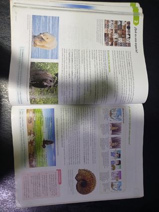 Biología y geología, Arce. 1 ESO. Savia